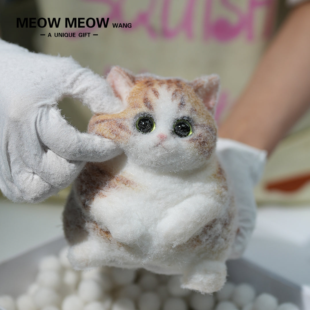 C09: Rare Fat Orange Cat With Green Eyes