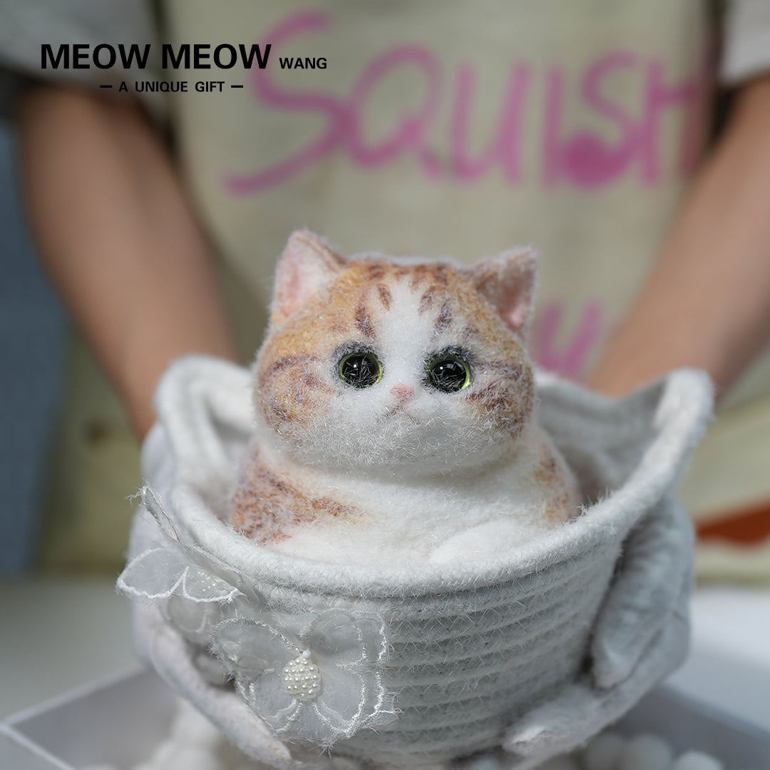 C09: Rare Fat Orange Cat With Green Eyes