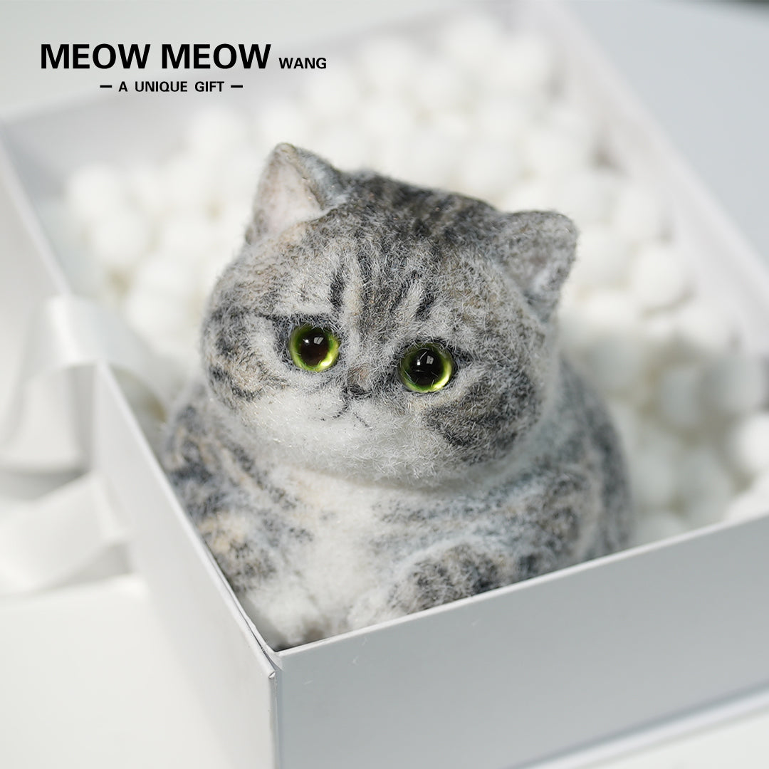 C10:Cute Gray Chubby Squishy Cat