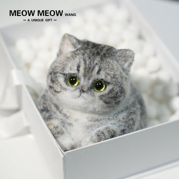 C10:Cute Gray Chubby Squishy Cat