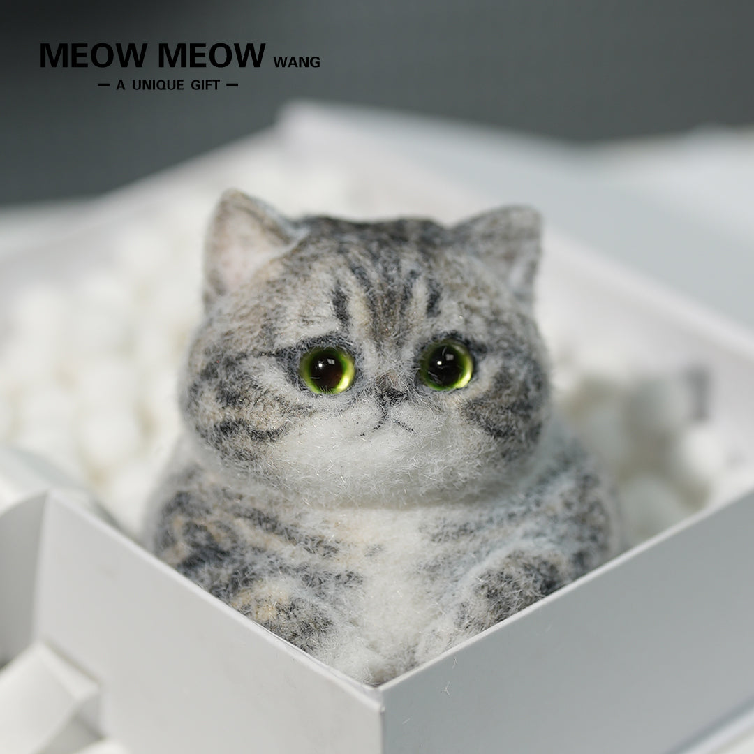C10:Cute Gray Chubby Squishy Cat