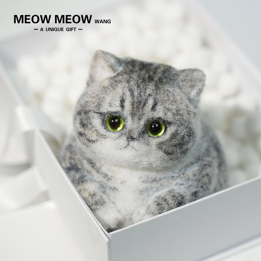 C10:Cute Gray Chubby Squishy Cat