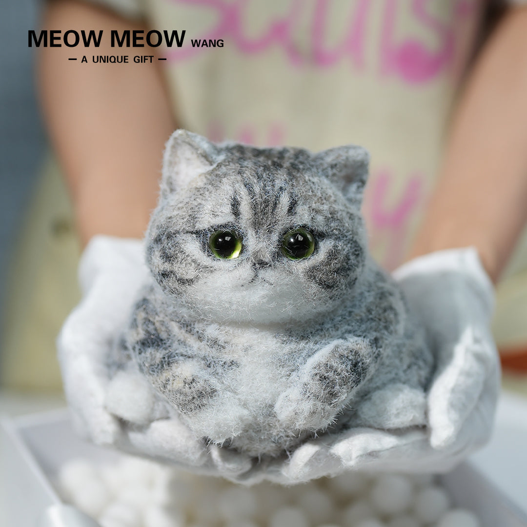 C10:Cute Gray Chubby Squishy Cat