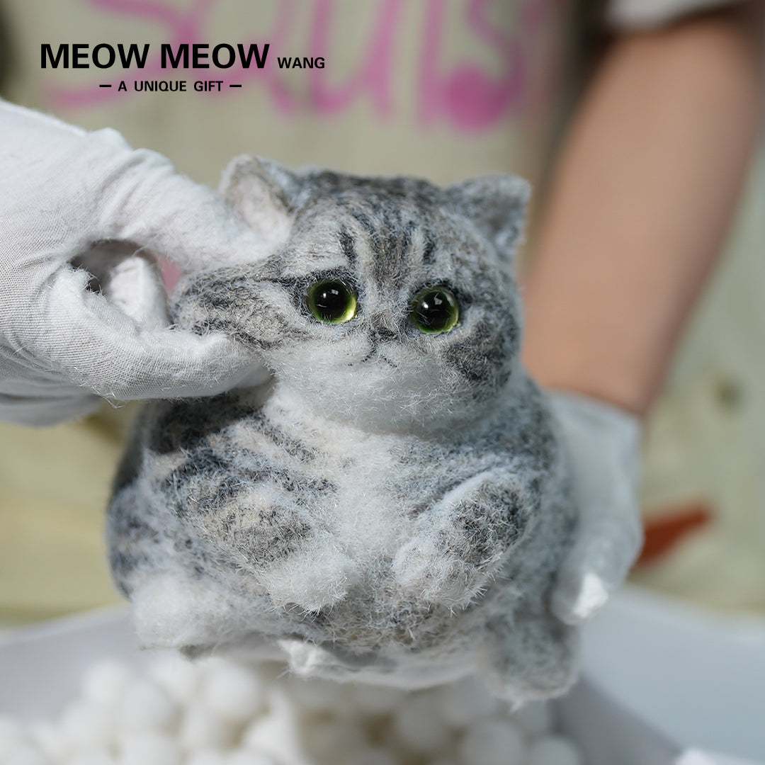 C10:Cute Gray Chubby Squishy Cat