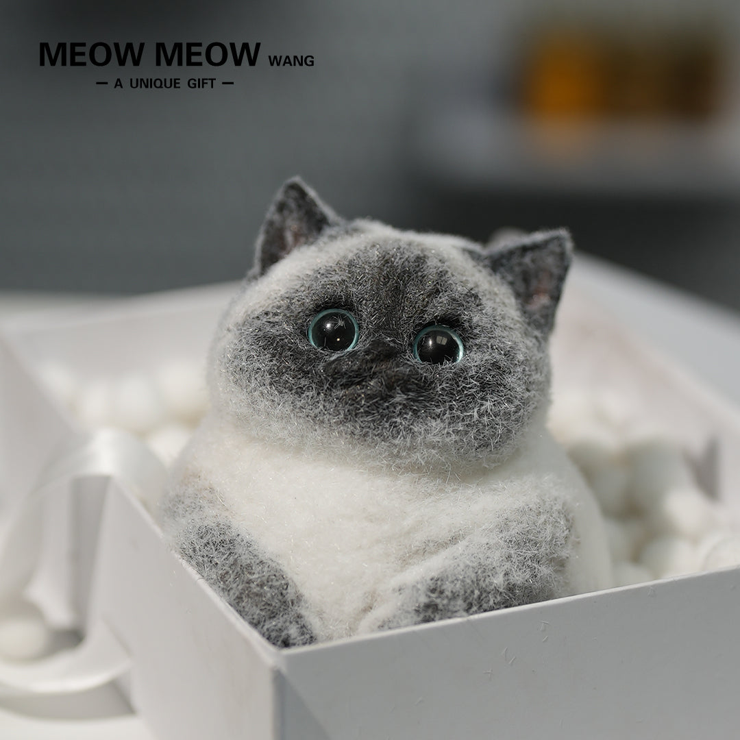 C11: Super Cute Special Siamese Chubby Squishy Kitty