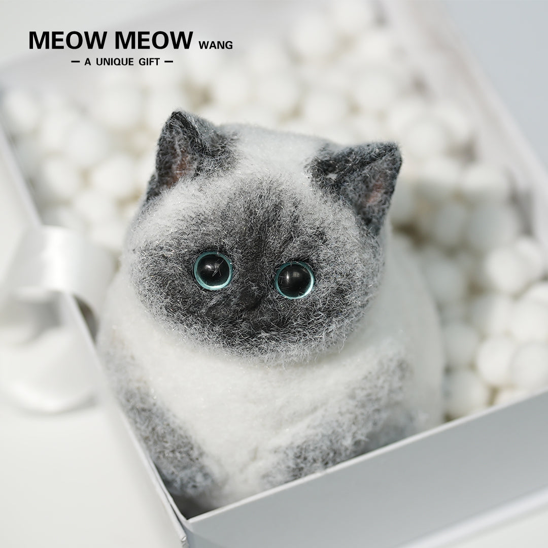 C11: Super Cute Special Siamese Chubby Squishy Kitty