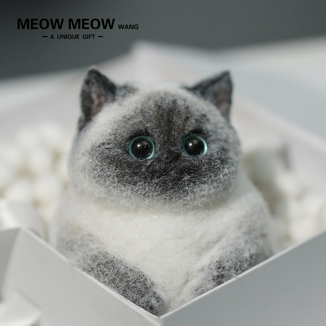 C11: Super Cute Special Siamese Chubby Squishy Kitty