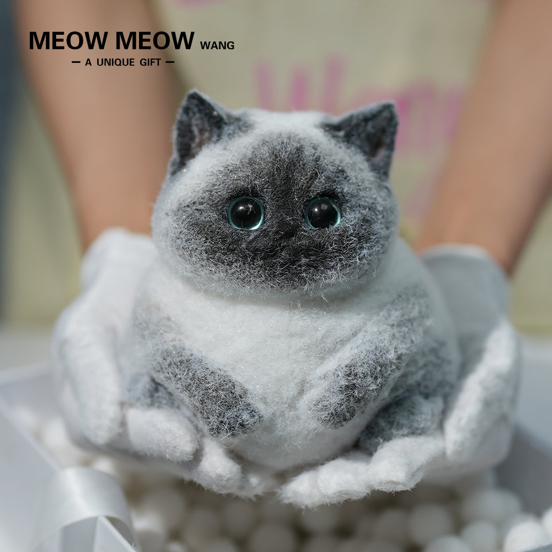 C11: Super Cute Special Siamese Chubby Squishy Kitty