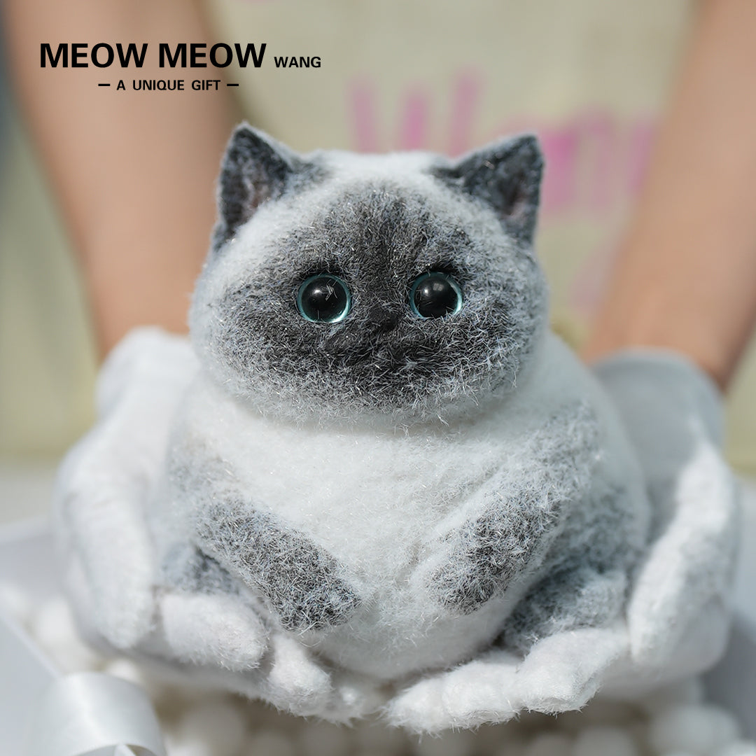 C11: Super Cute Special Siamese Chubby Squishy Kitty