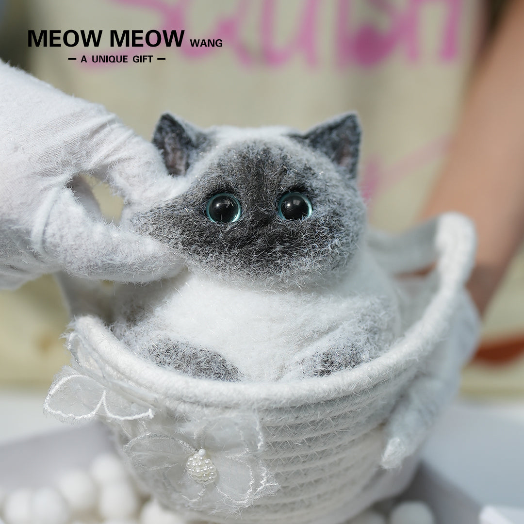 C11: Super Cute Special Siamese Chubby Squishy Kitty