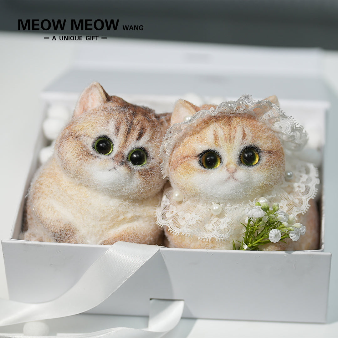 C14:Beautiful Bride And Handsome Groom