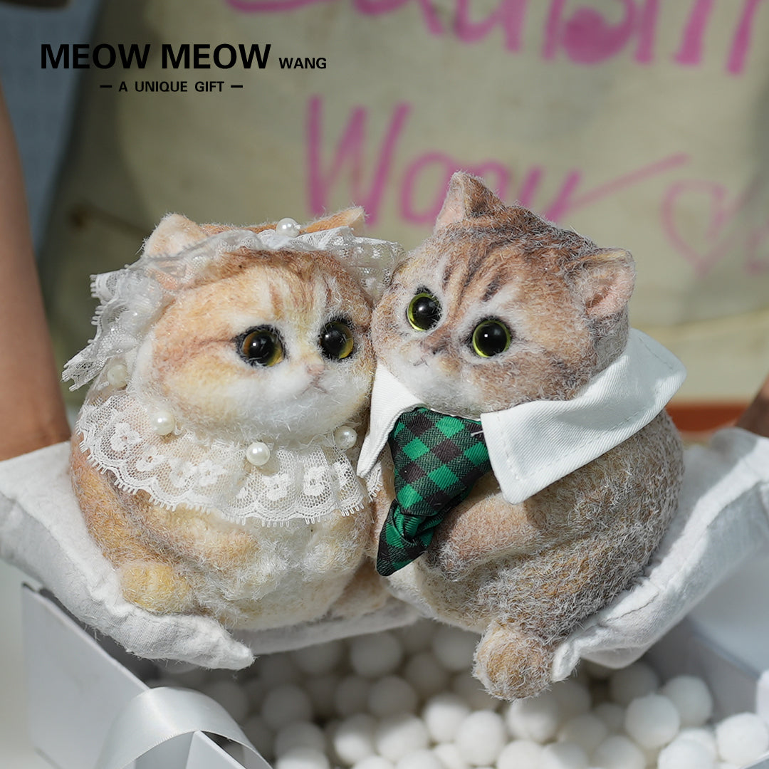 C14:Beautiful Bride And Handsome Groom