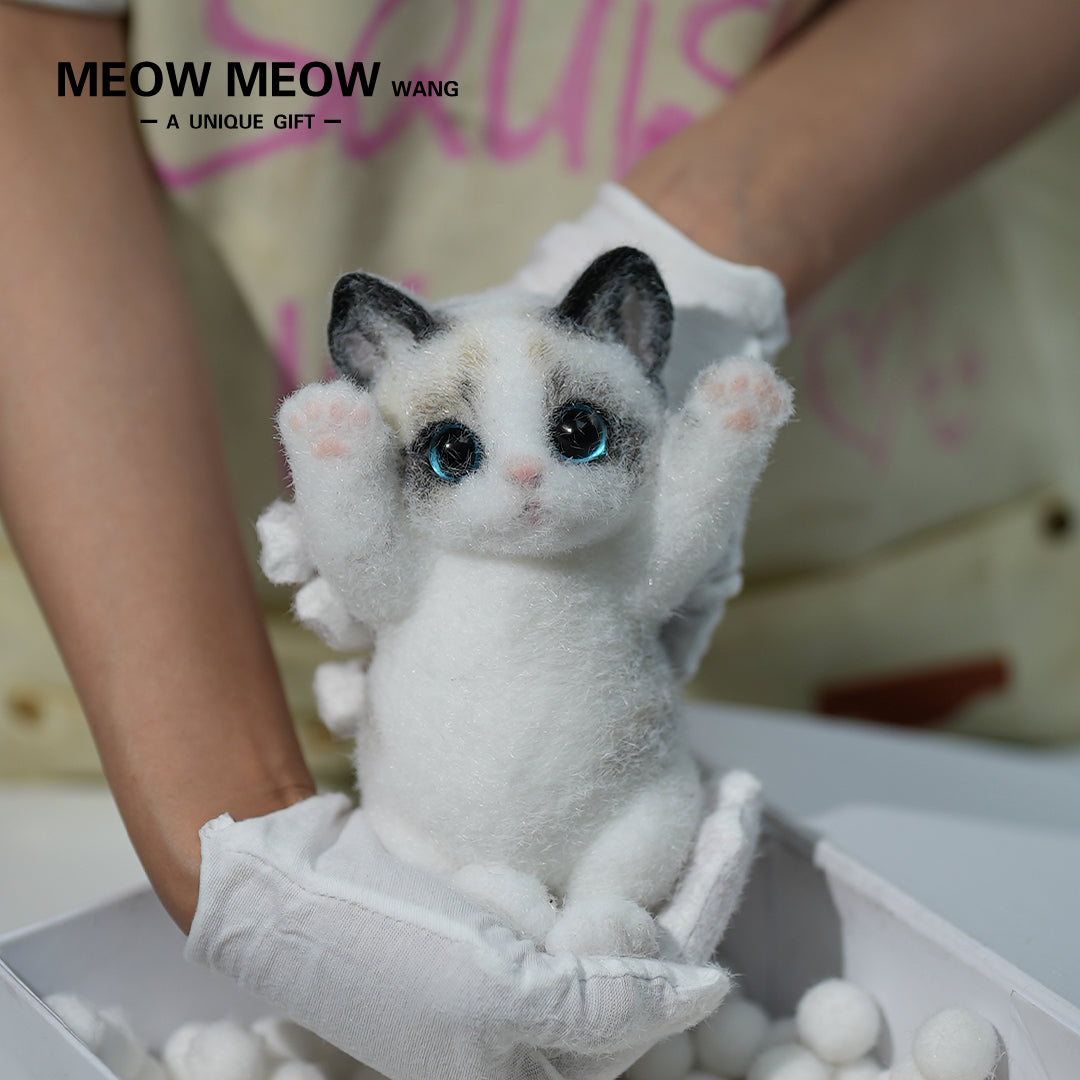 A03:Cute Ragdoll Squishy Cat