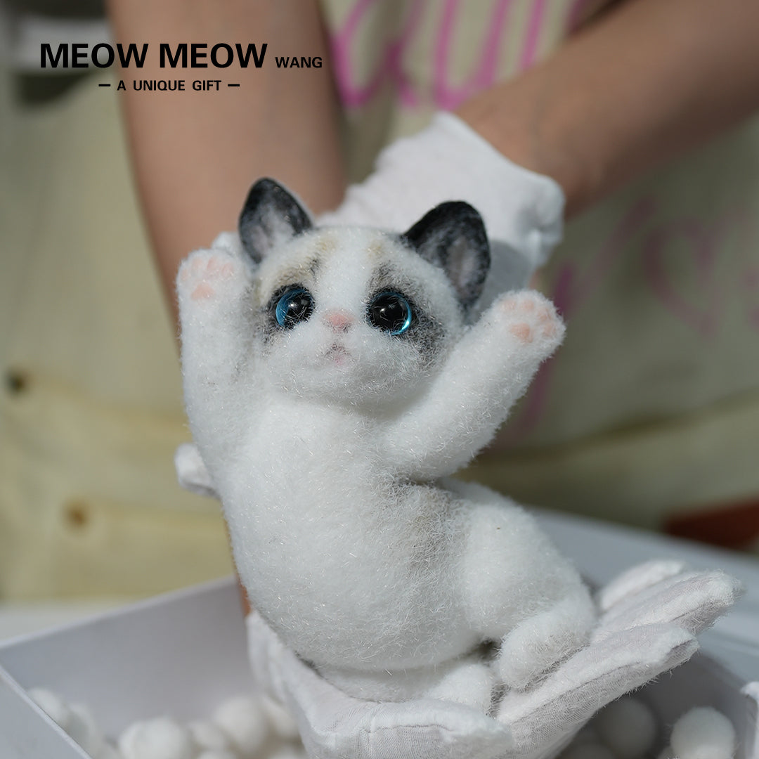 A03:Cute Ragdoll Squishy Cat