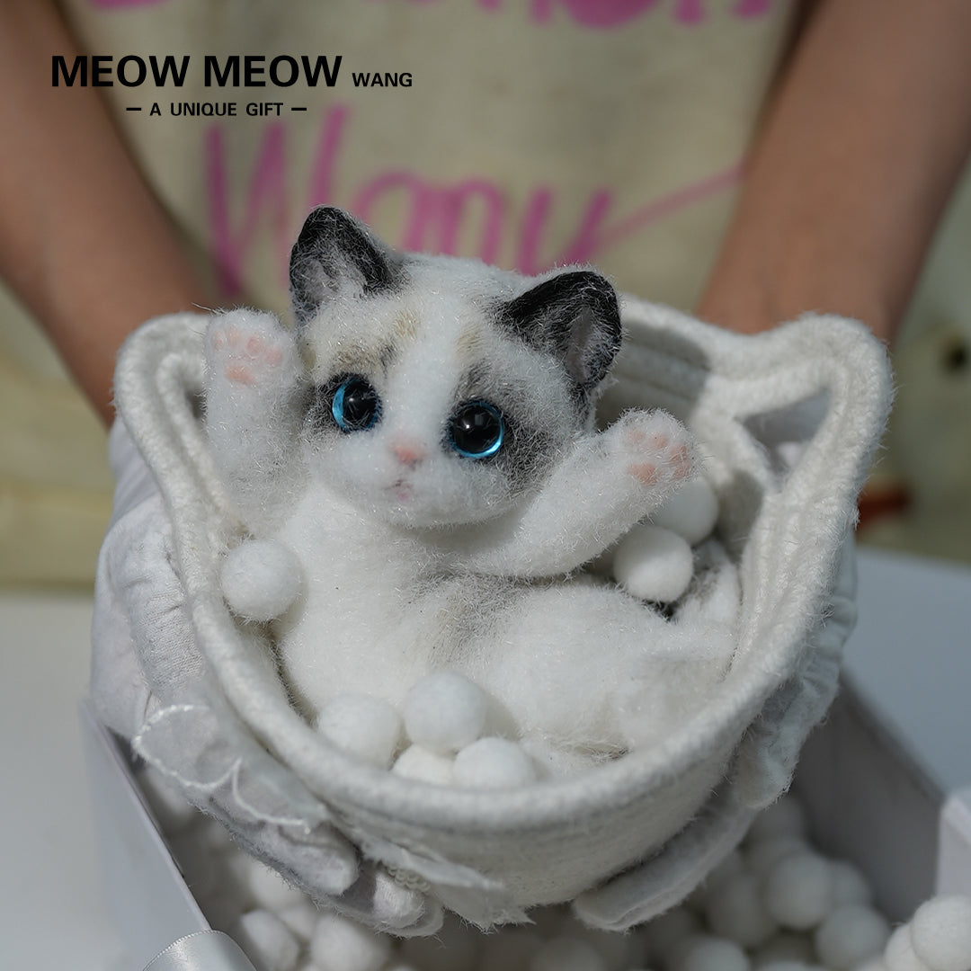 A03:Cute Ragdoll Squishy Cat