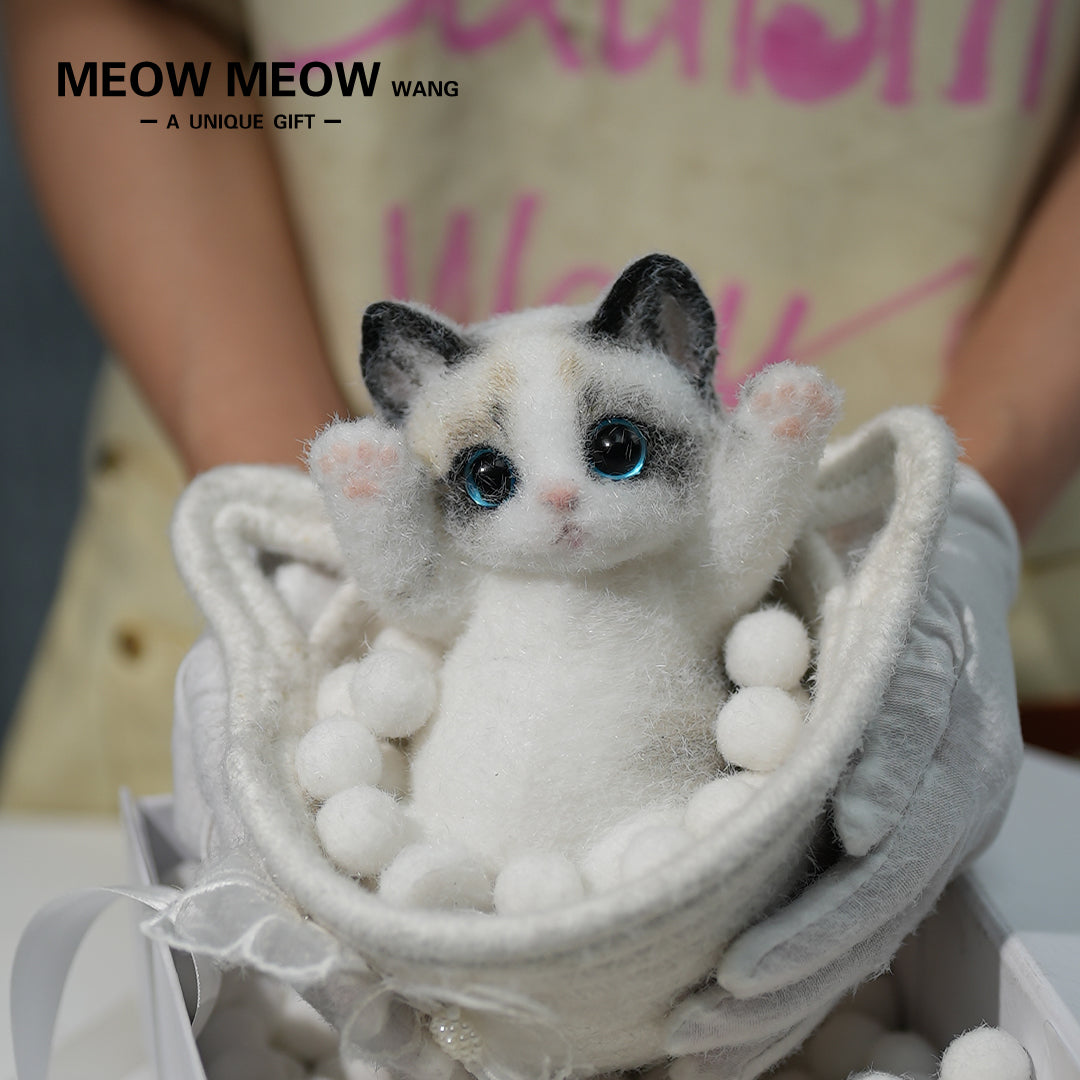 A03:Cute Ragdoll Squishy Cat