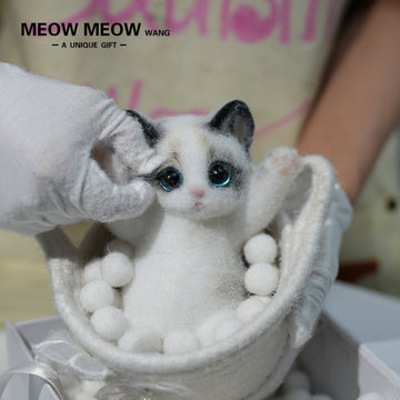 A03:Cute Ragdoll Squishy Cat