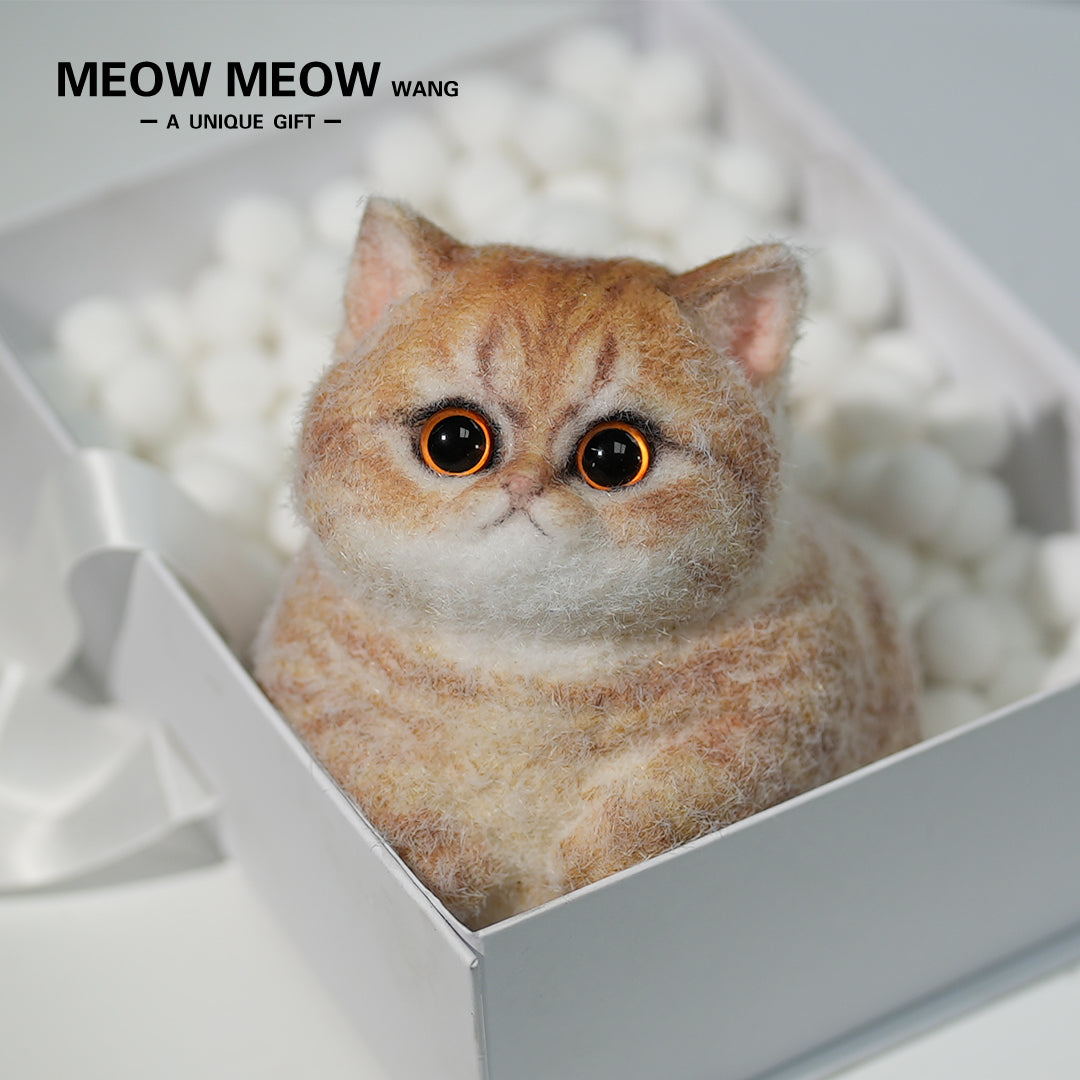 C05:Cute Angry Chubby Squishy Cat