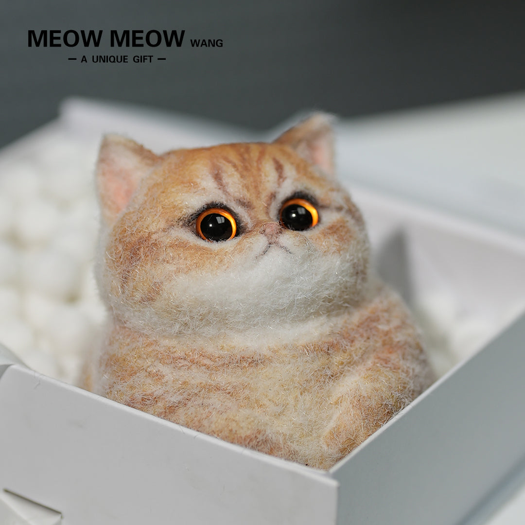 C05:Cute Angry Chubby Squishy Cat