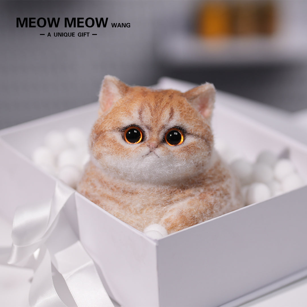C05:Cute Angry Chubby Squishy Cat
