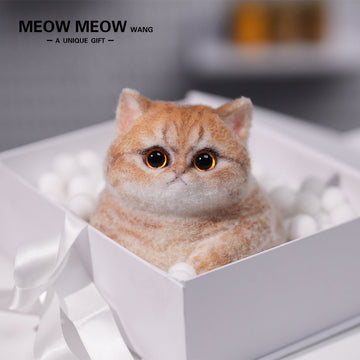 C05:Cute Angry Chubby Squishy Cat