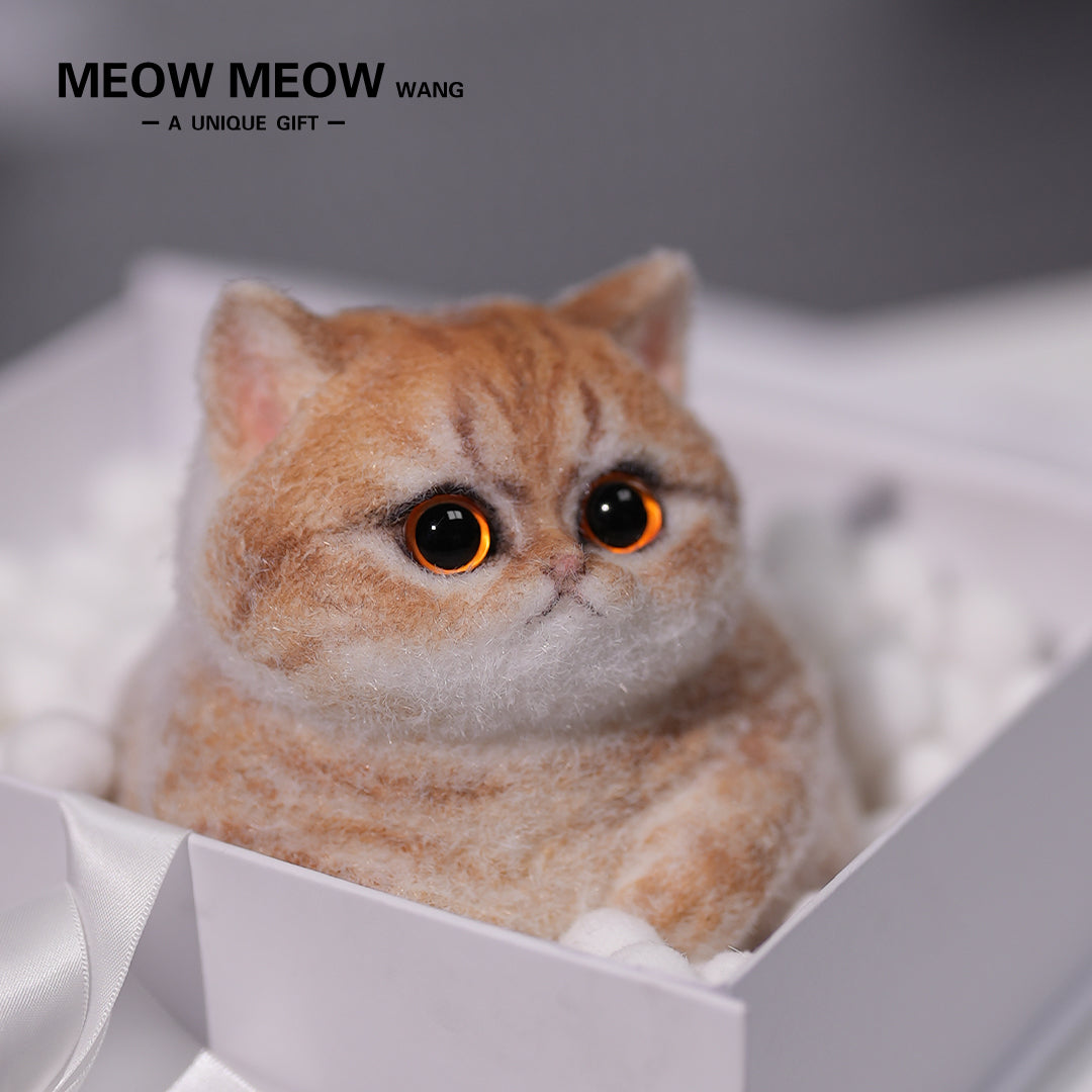 C05:Cute Angry Chubby Squishy Cat