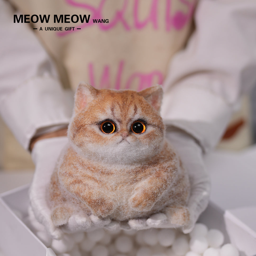 C05:Cute Angry Chubby Squishy Cat