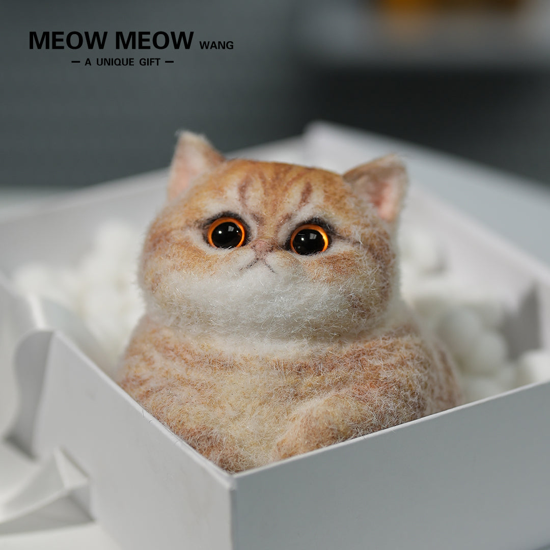 C05:Cute Angry Chubby Squishy Cat
