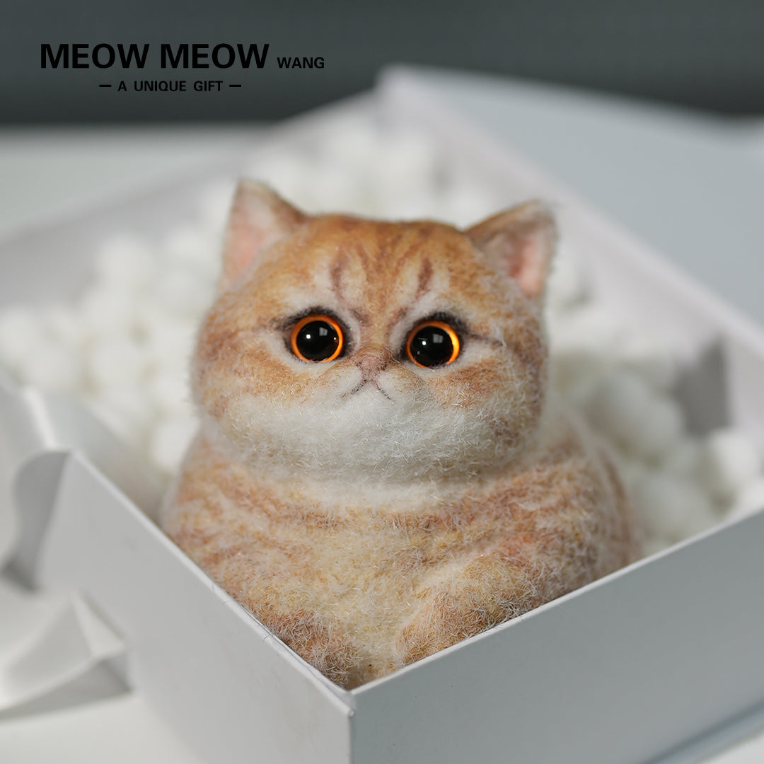 C05:Cute Angry Chubby Squishy Cat