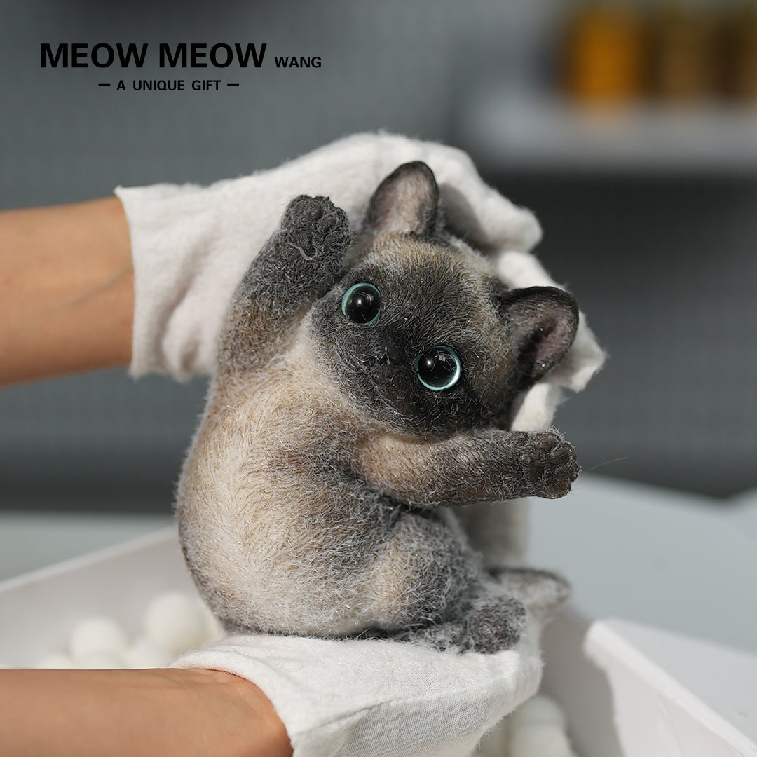 B02:Black Siamese Squishy Cat
