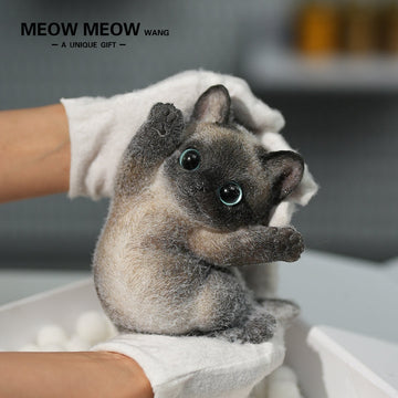 B02:Black Siamese Squishy Cat