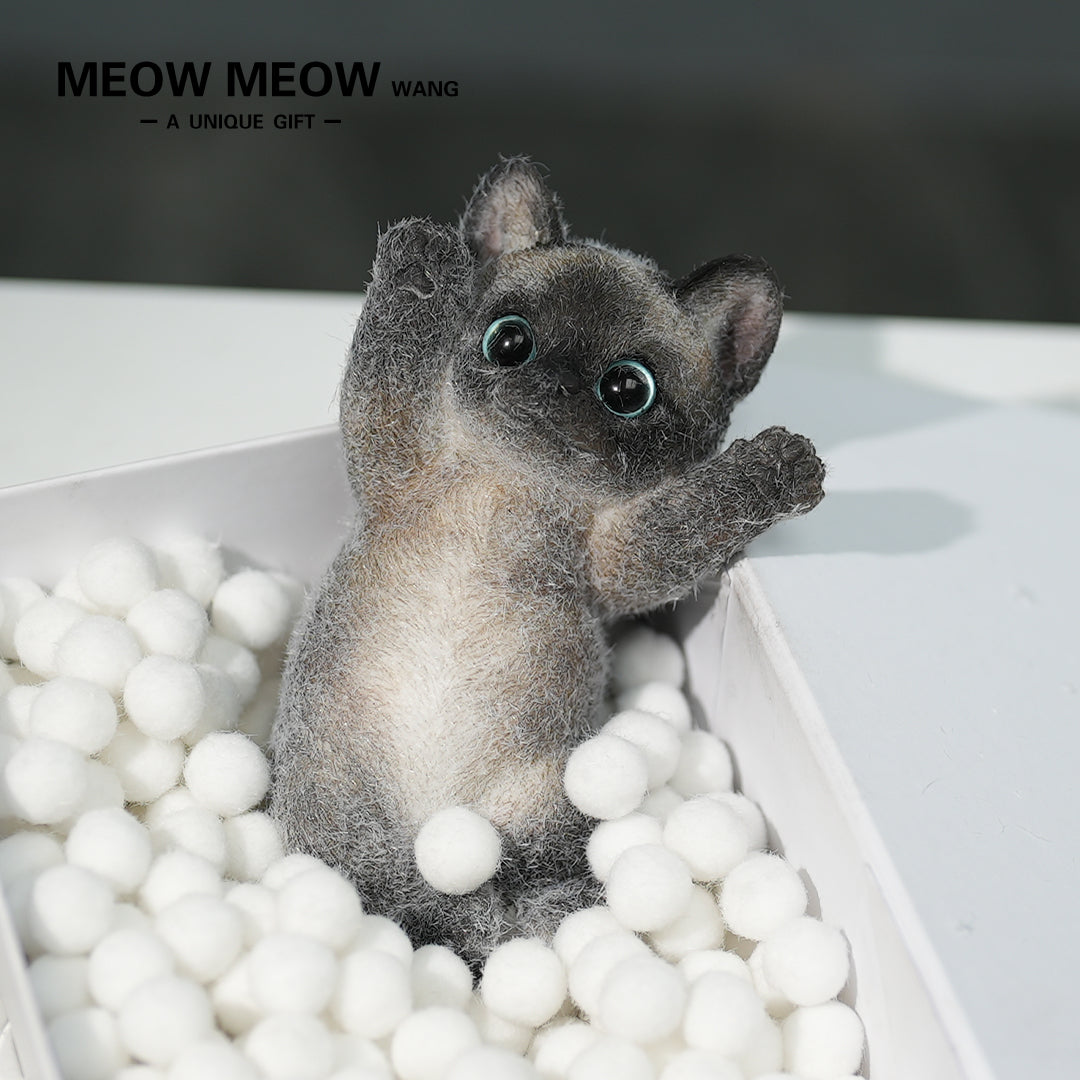 B02:Black Siamese Squishy Cat
