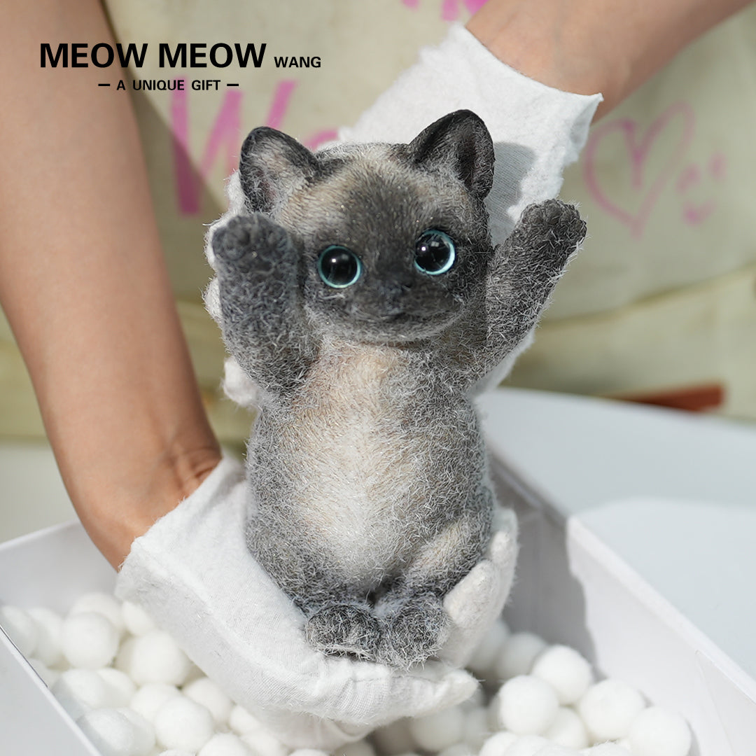 B02:Black Siamese Squishy Cat