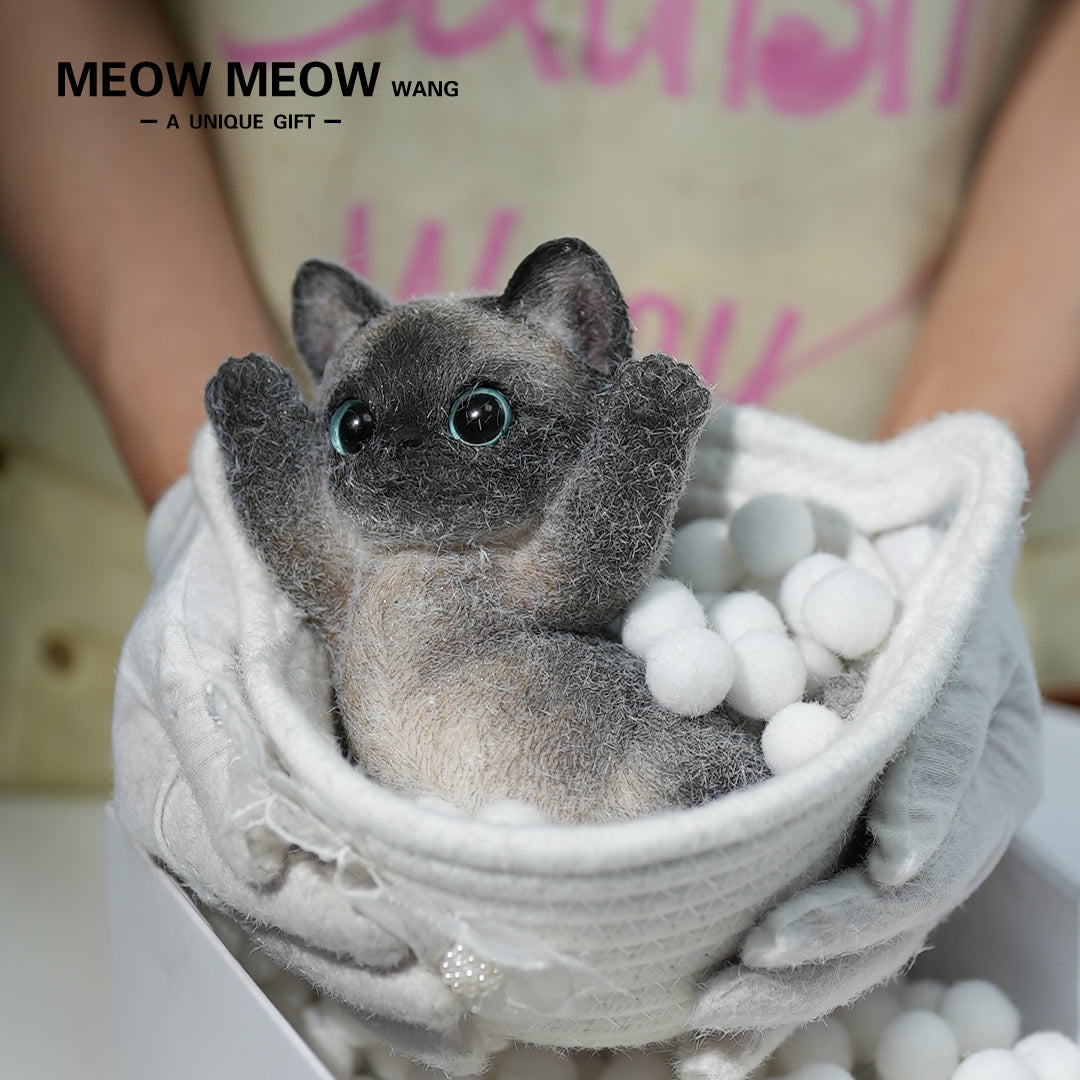 B02:Black Siamese Squishy Cat