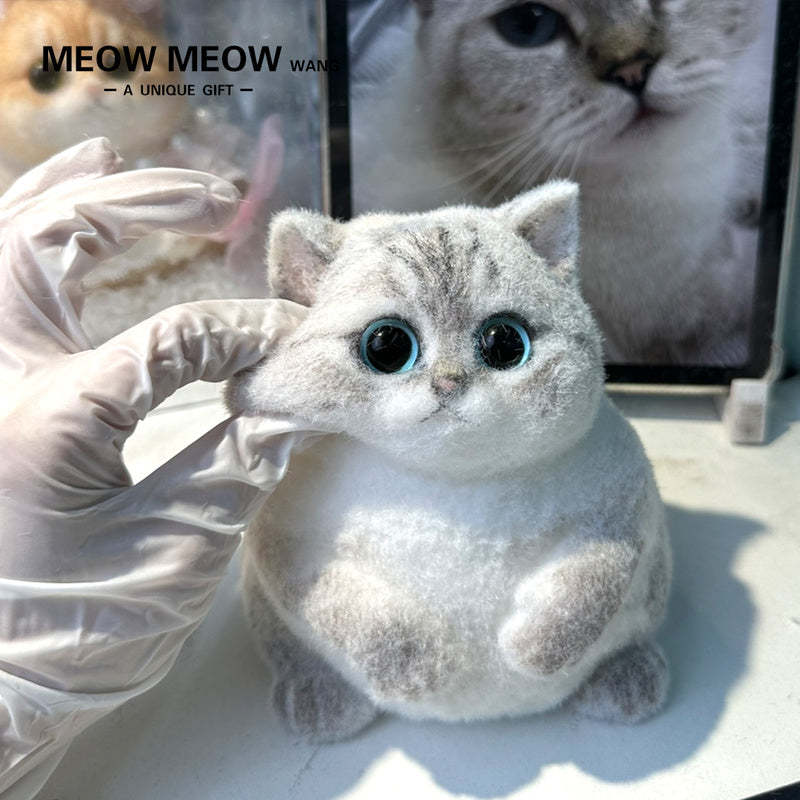 A02:Chubby British Shorthair Golden Shaded Squishy Cat