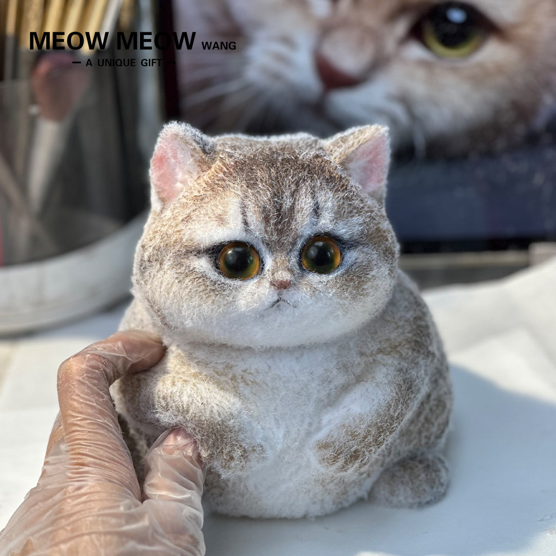 A06:Cute Blue-gold Chubby Cat With Green Eyes