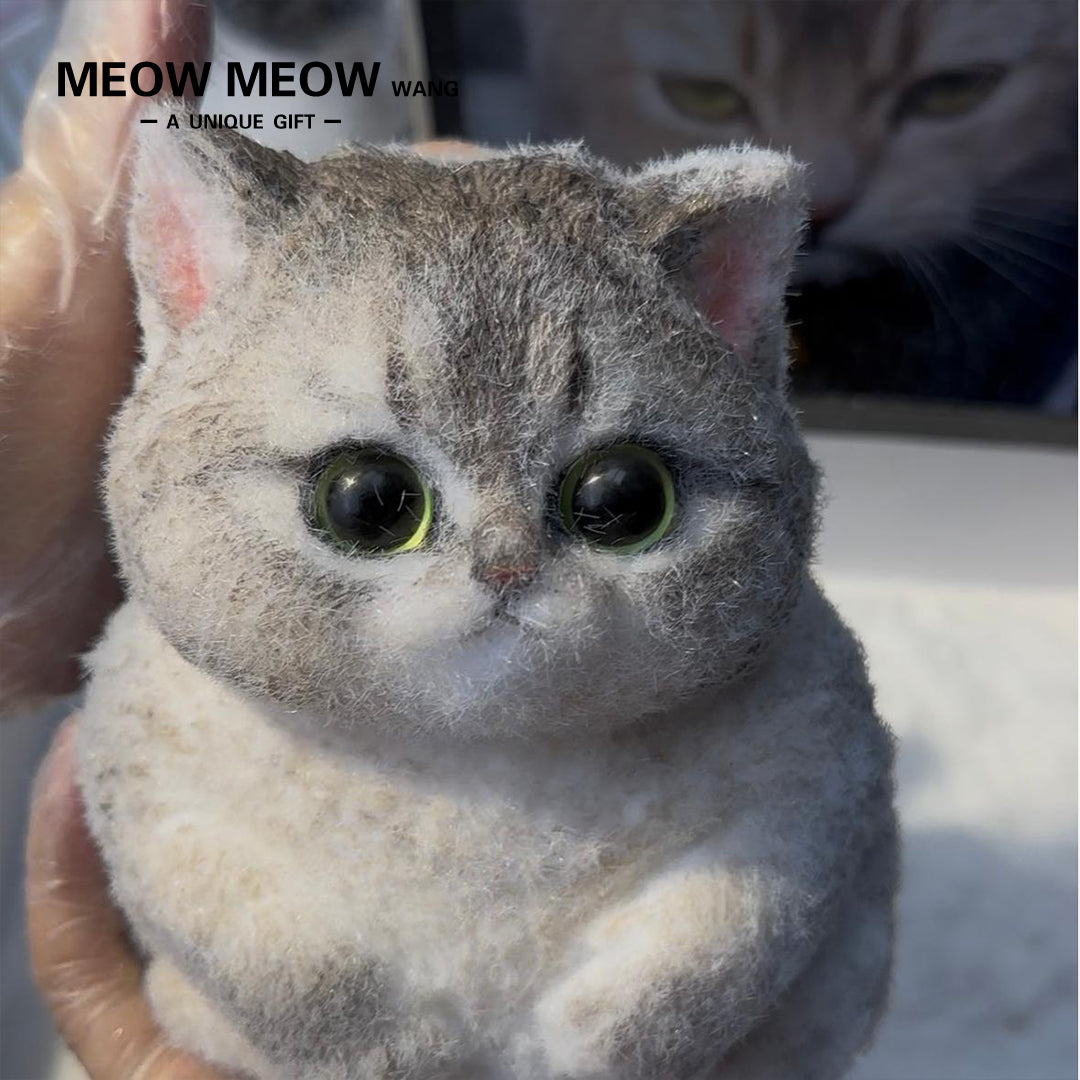 C15:New Mixed-Breed Kitten