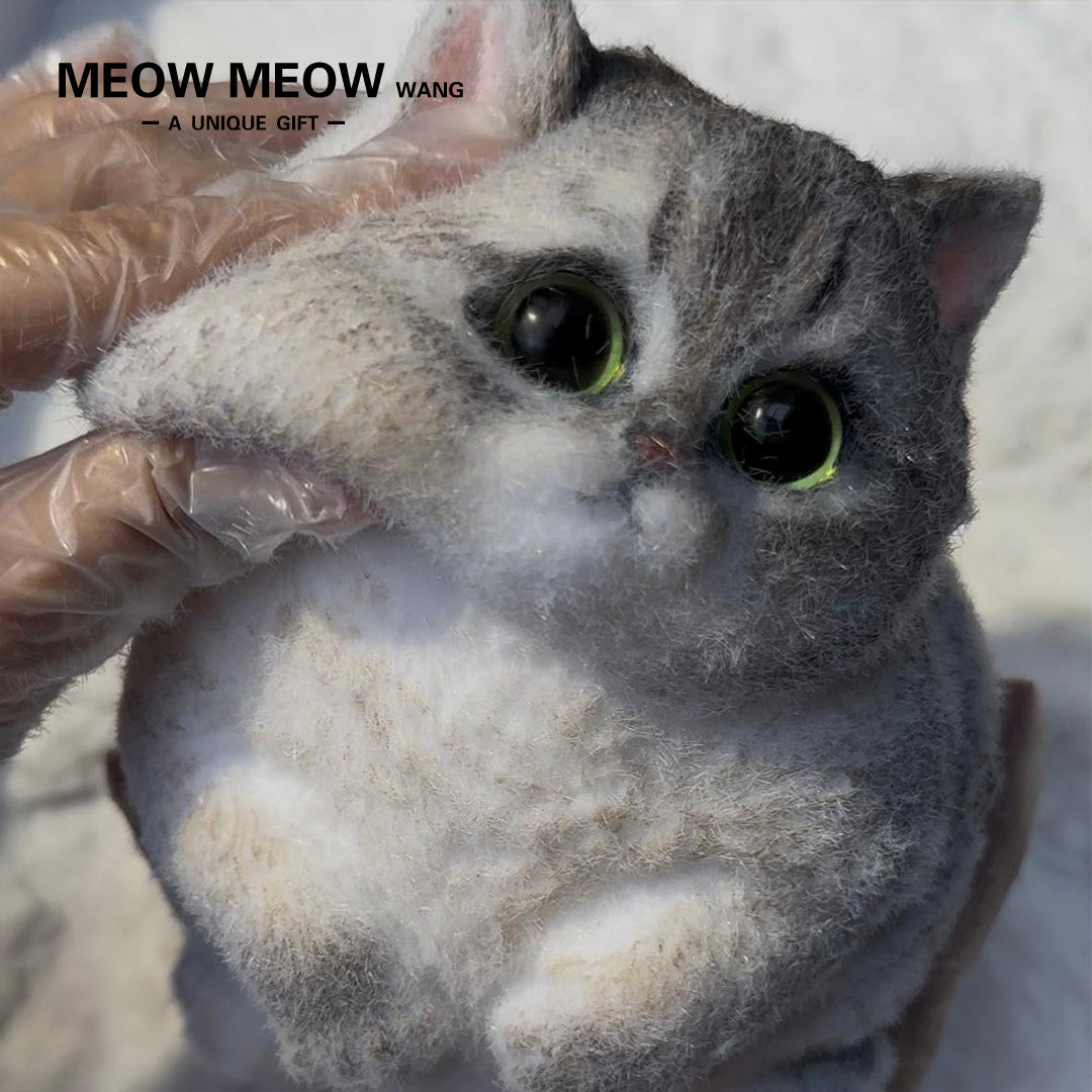 C15:New Mixed-Breed Kitten