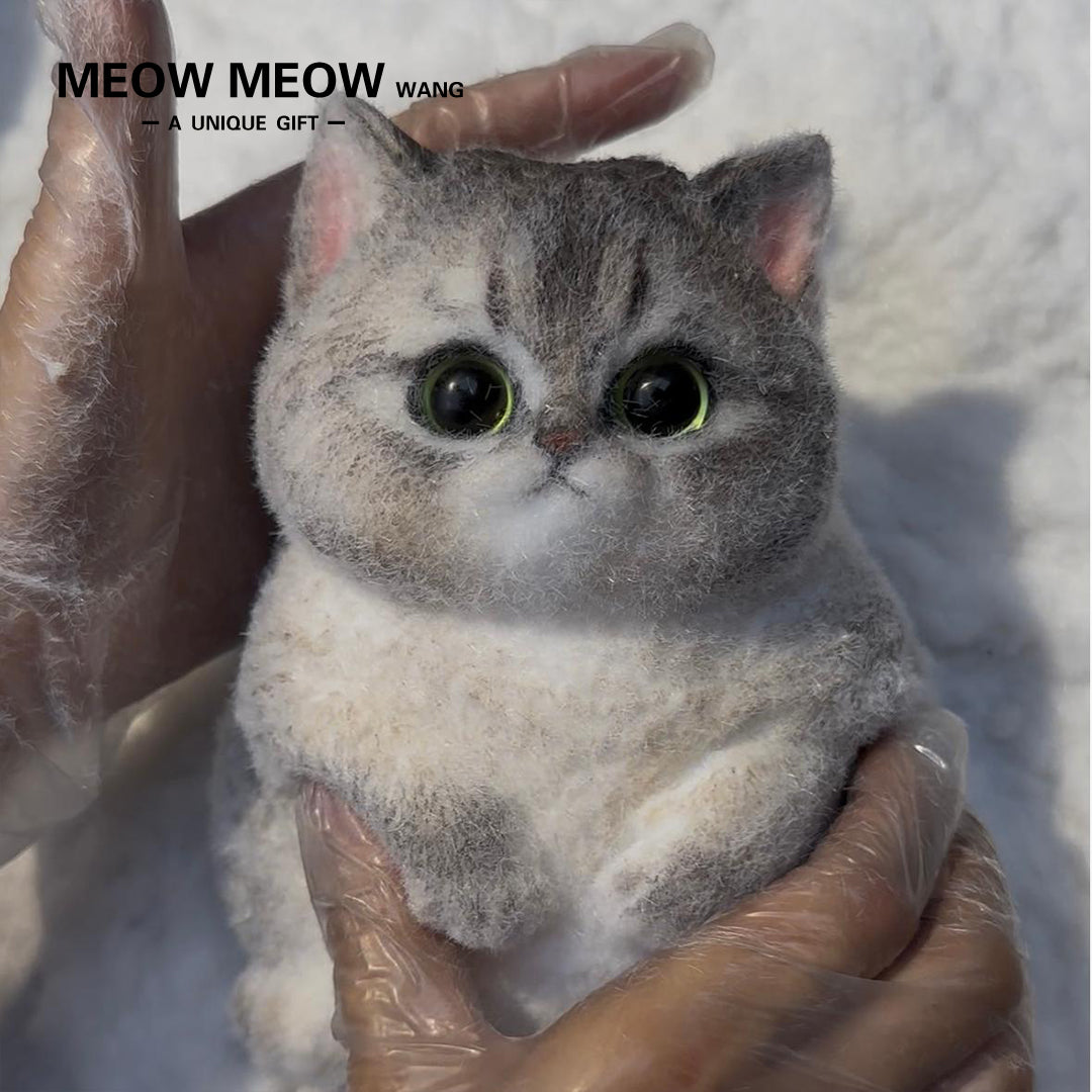 C15:New Mixed-Breed Kitten