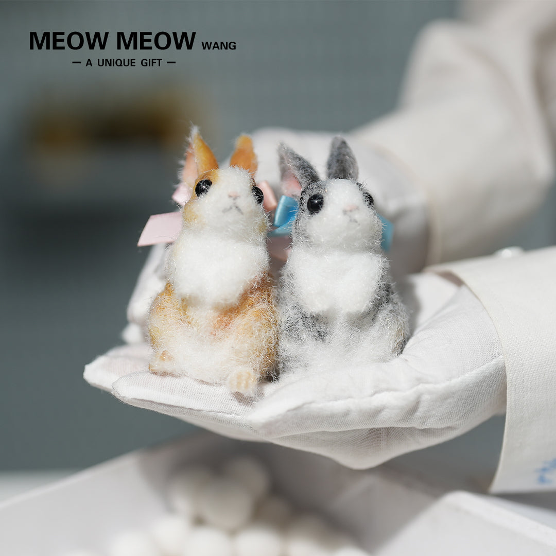 E003:A Pair Of Adorable Twin Bunnies
