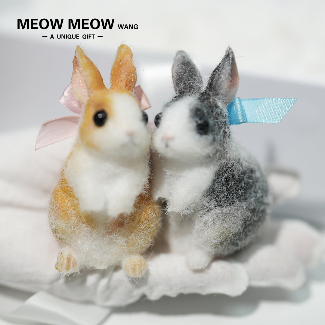 E003:A Pair Of Adorable Twin Bunnies