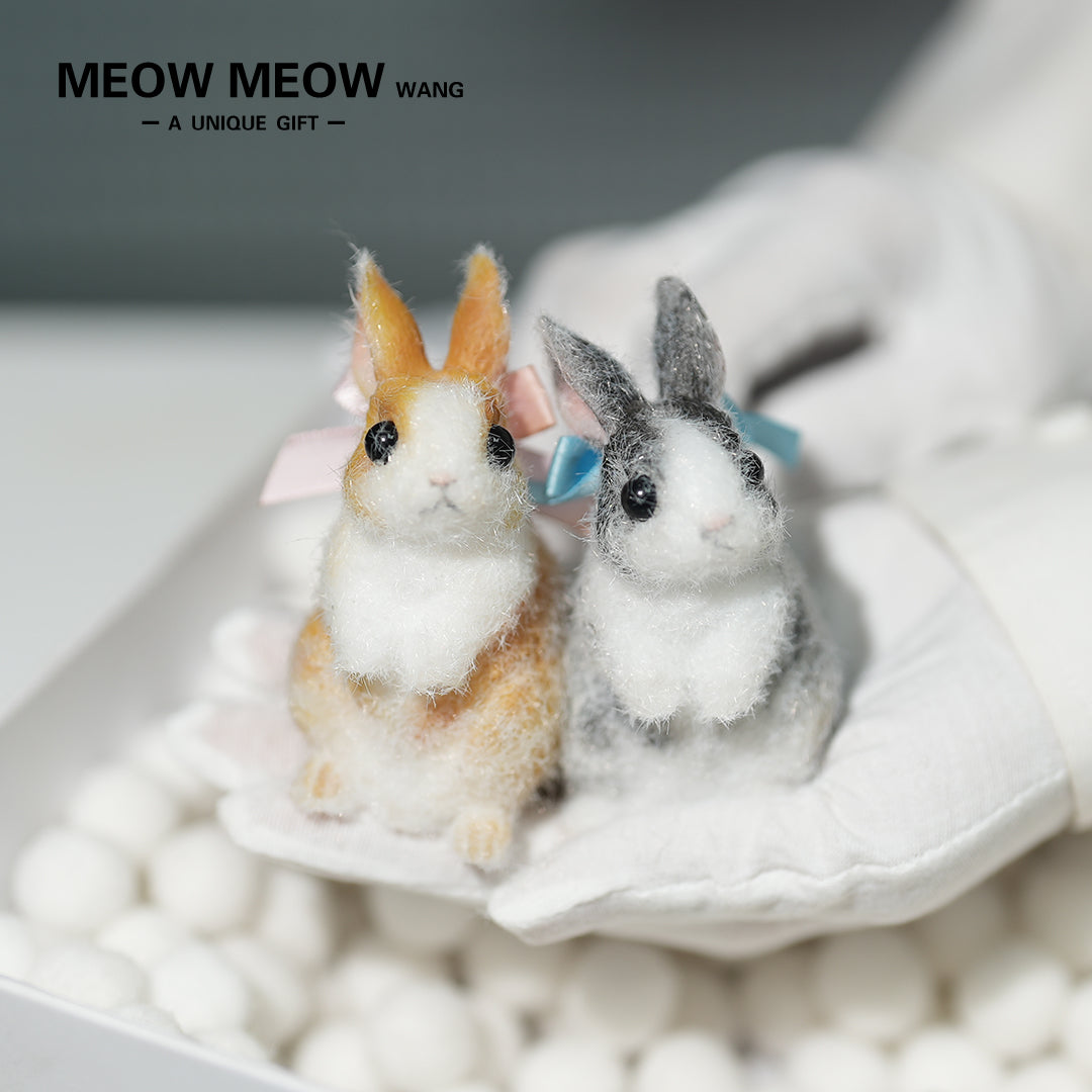 E003:A Pair Of Adorable Twin Bunnies