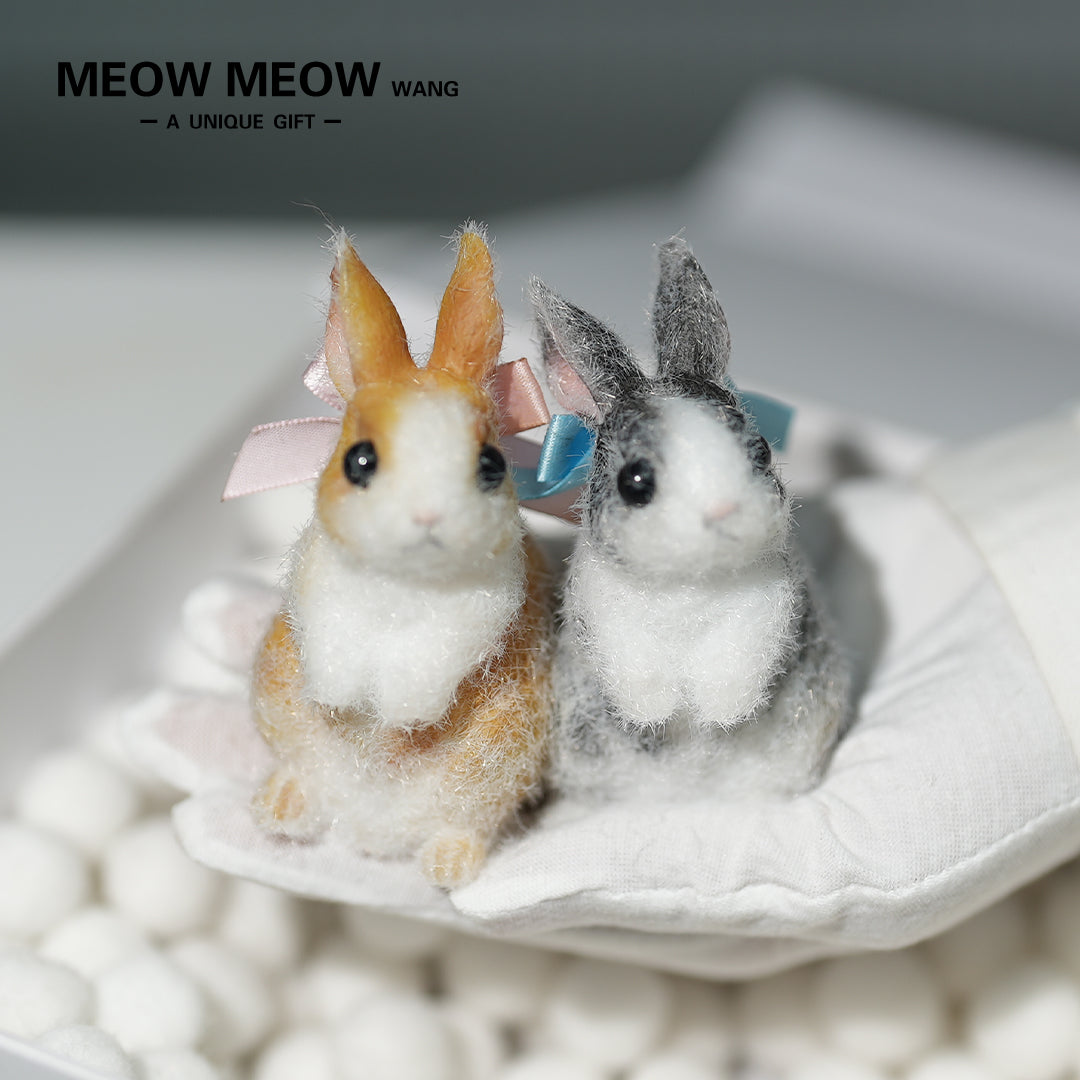 E003:A Pair Of Adorable Twin Bunnies