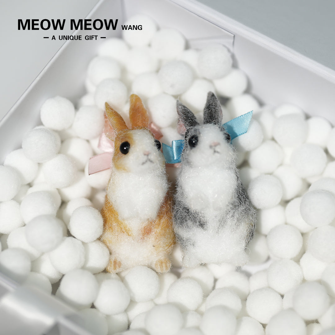 E003:A Pair Of Adorable Twin Bunnies