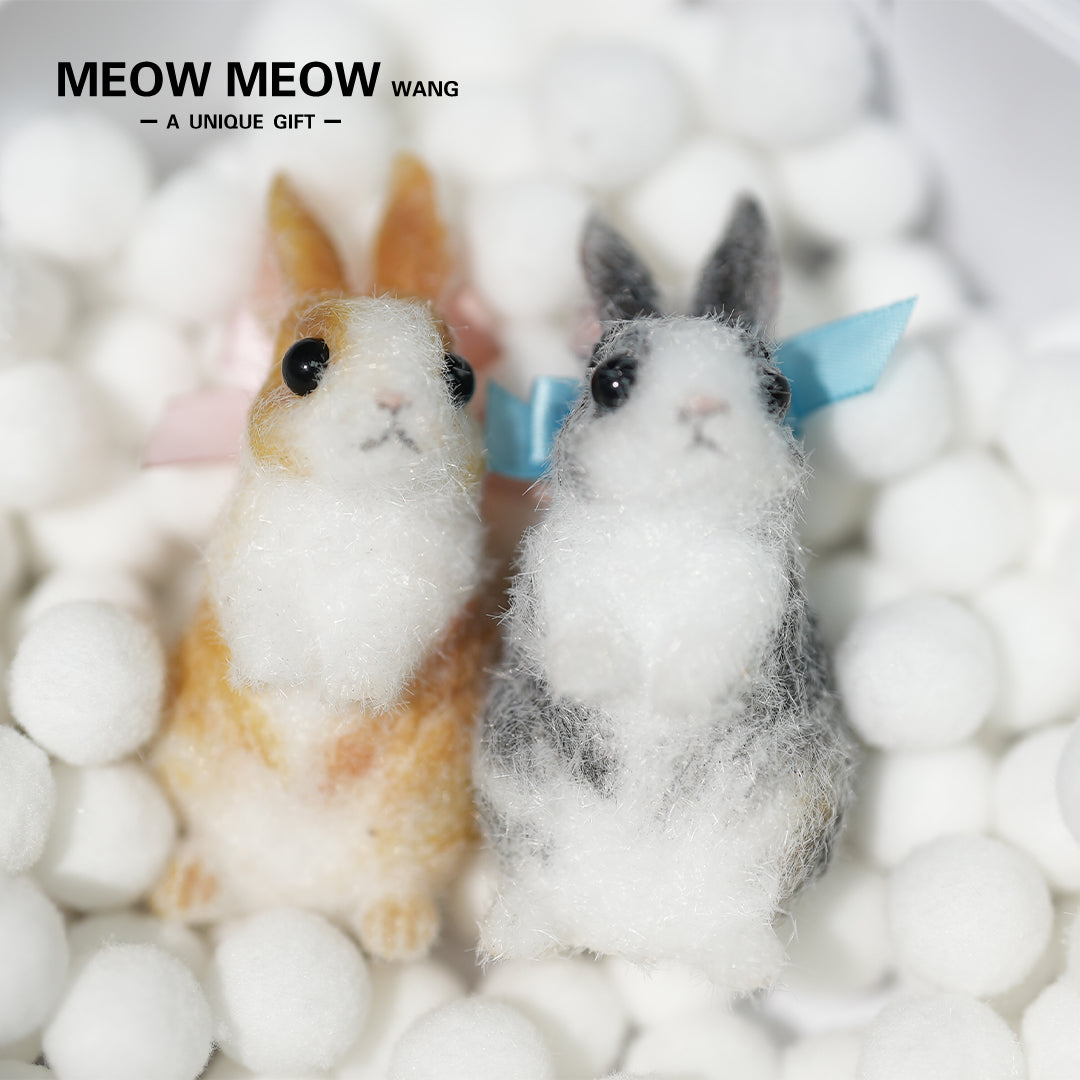 E003:A Pair Of Adorable Twin Bunnies