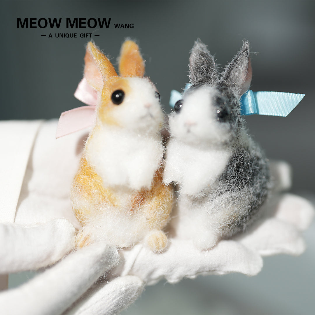 E003:A Pair Of Adorable Twin Bunnies