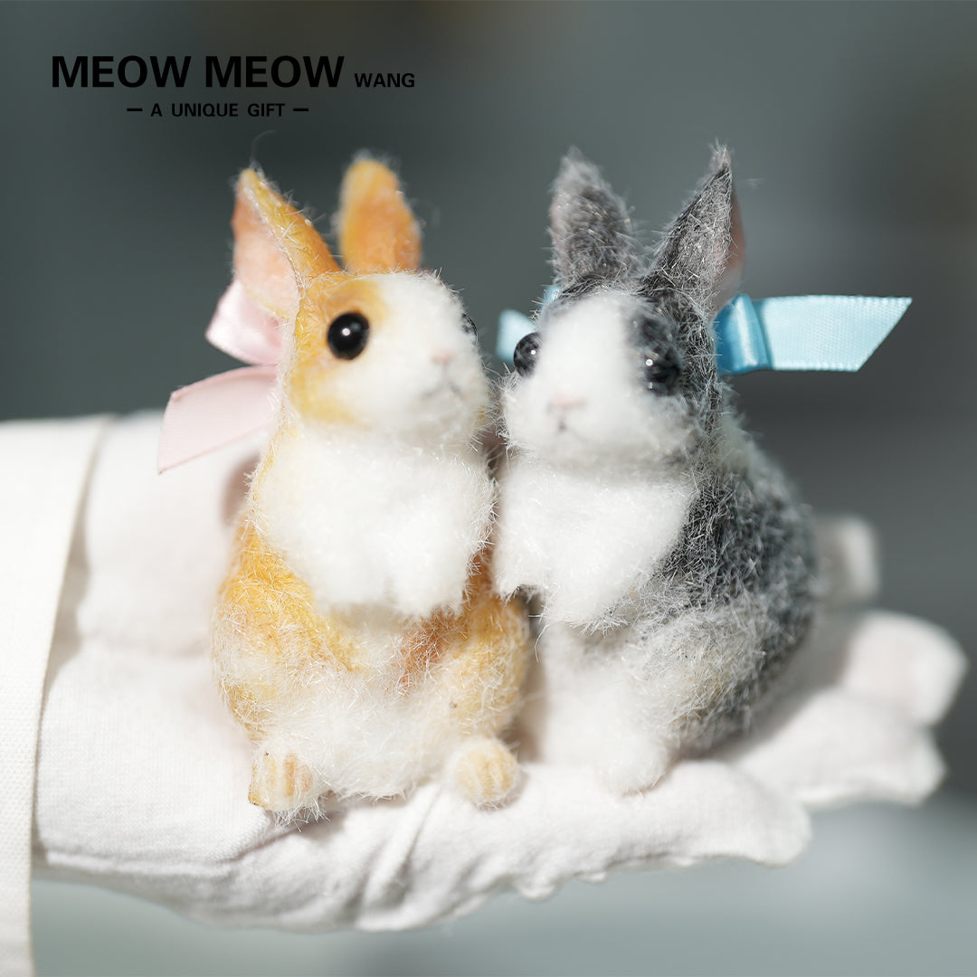 E003:A Pair Of Adorable Twin Bunnies