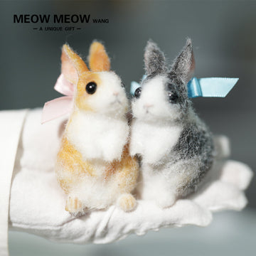 E003:A Pair Of Adorable Twin Bunnies
