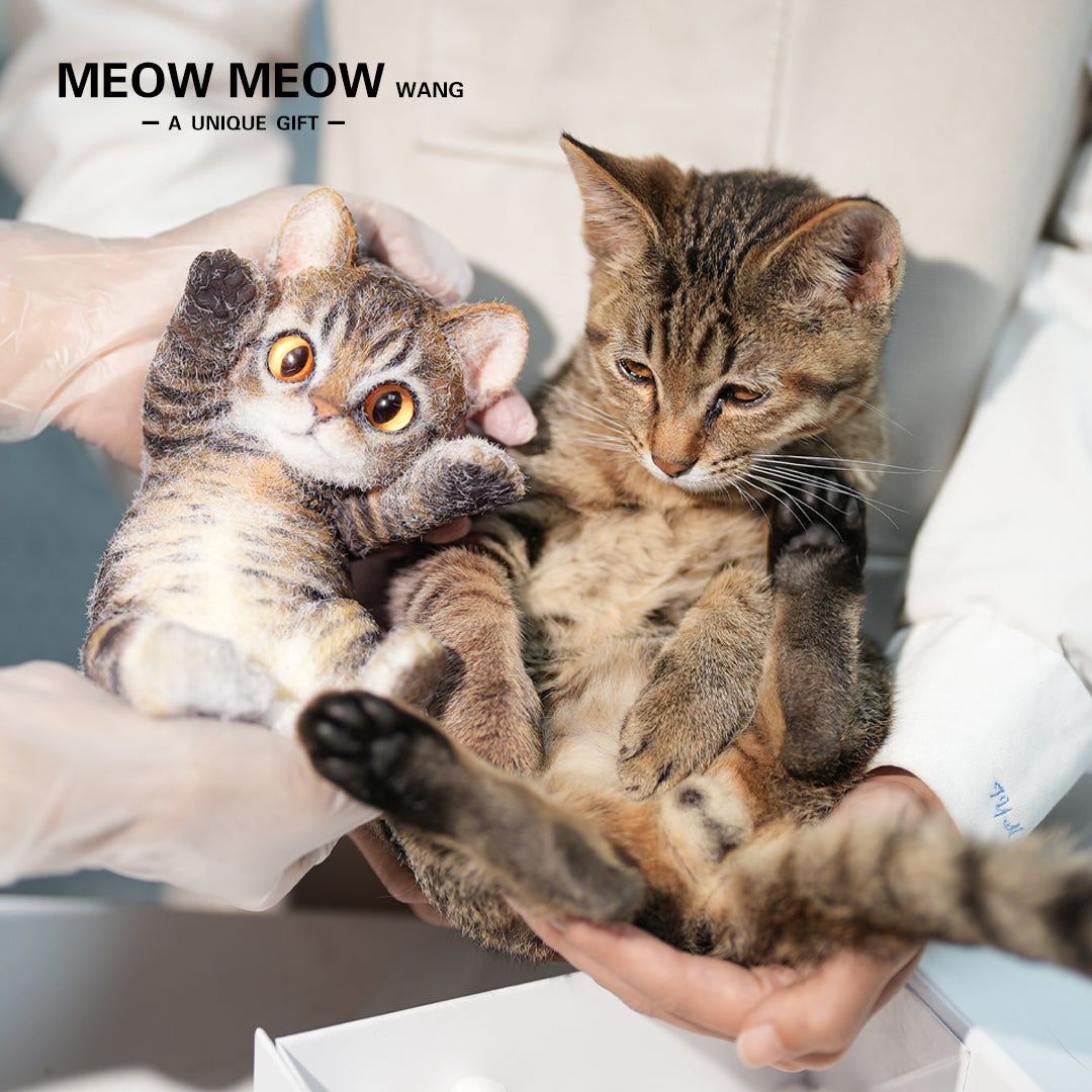 A001: Customized Lovely Slim Cat Silicone Squishy Kitty——'chat' icon on the left bottom to send photos to us